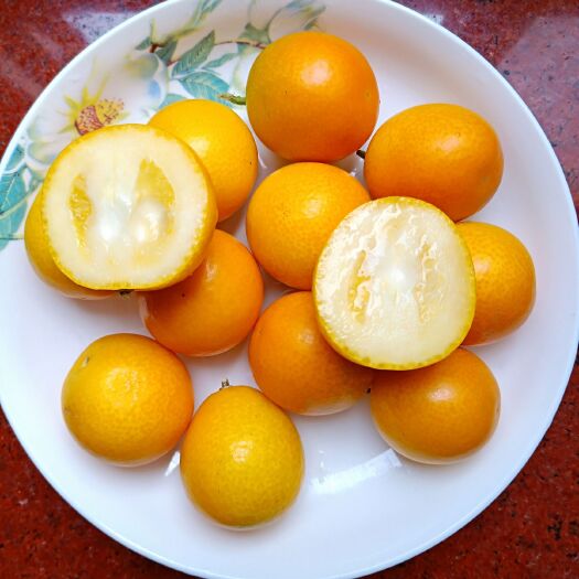 尤溪县尤溪金桔 2-3cm 1两以下
