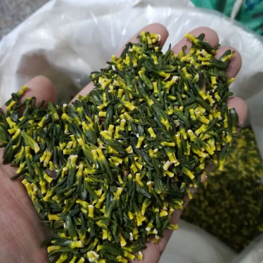 莲芯茶  精选莲子芯  泡茶 入药