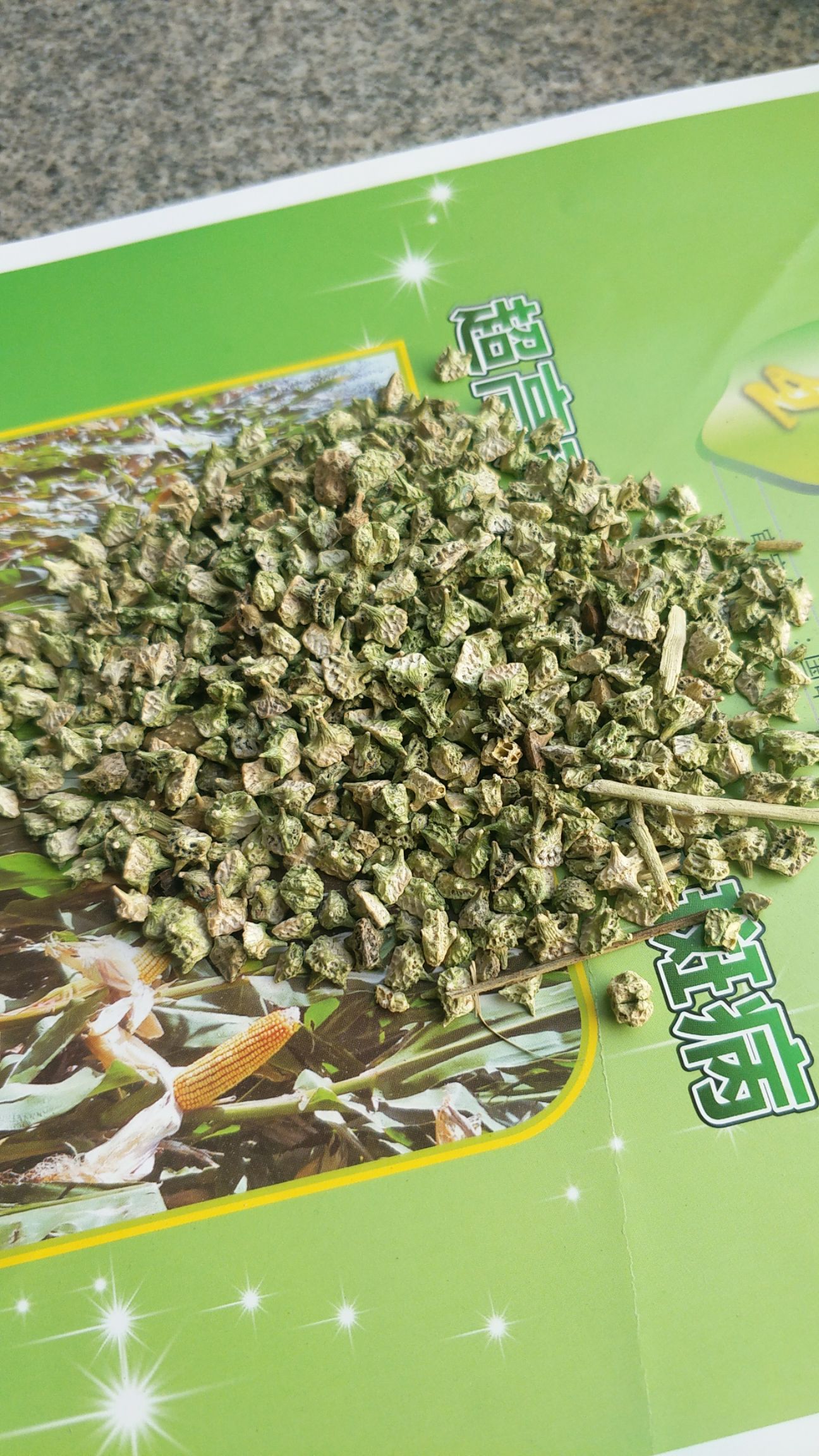敖汉旗蒺藜