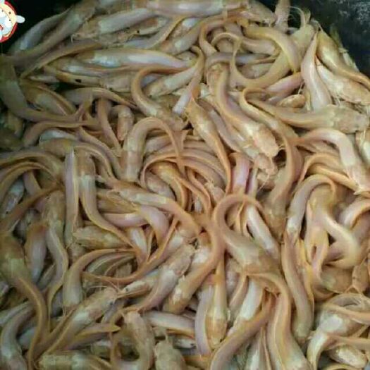 德阳水产养殖饲料 