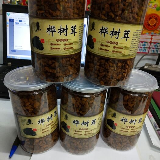 白山白桦茸 颗粒 罐装