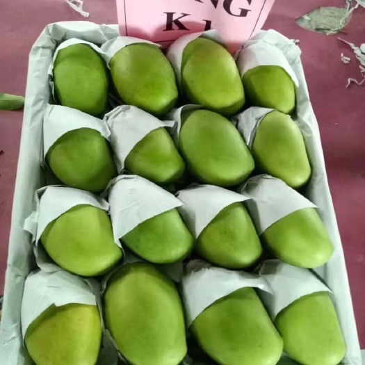 宁明县 越南芒果玉芒，保质保量，不含运费。
