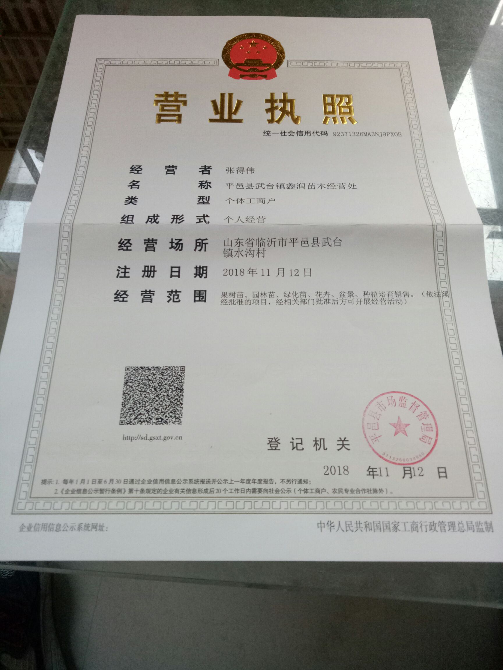  甜蜜蓝宝石葡萄苗基地直供现挖现发，包成活包结果可签订合同