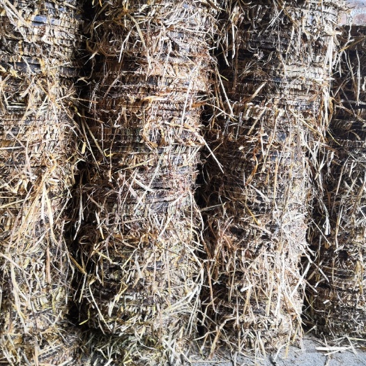 南雄市茶枯