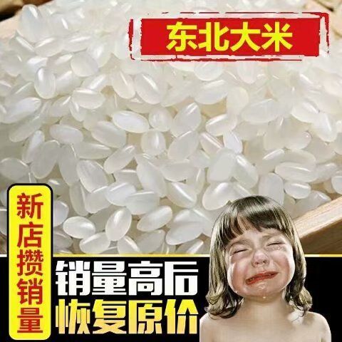 东北大米 晚稻 粳米 一等品