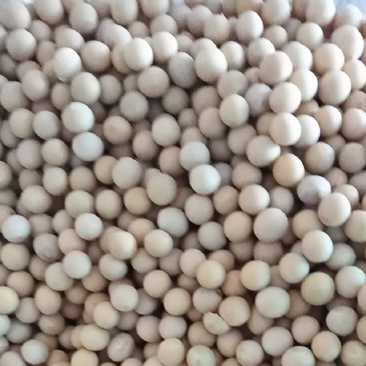 敦化市黄大豆 生大豆 1等品