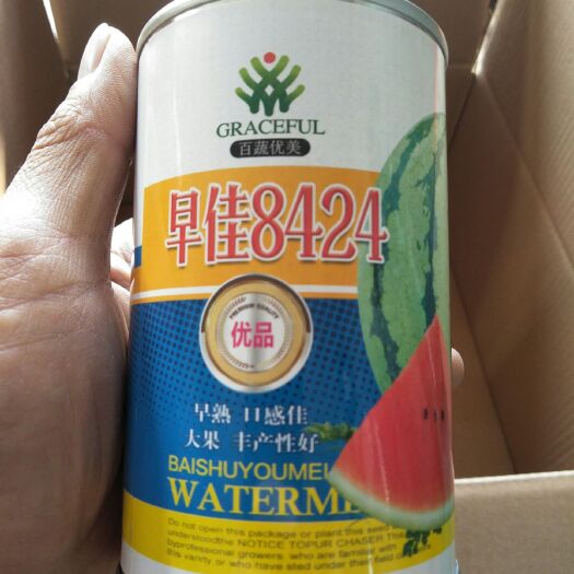 早佳8424西瓜種子 二倍體雜交種 ≥85%