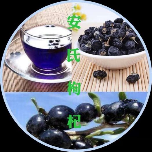 格尔木市黑枸杞 一级 