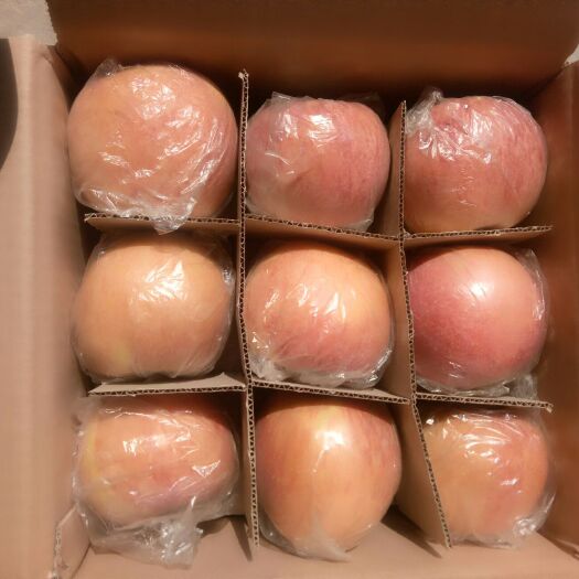 临猗县临猗苹果 80mm以上 条红 膜袋 