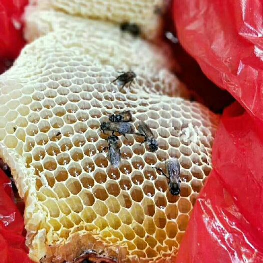 海口野生蜂蜜 塑料瓶装 2年  