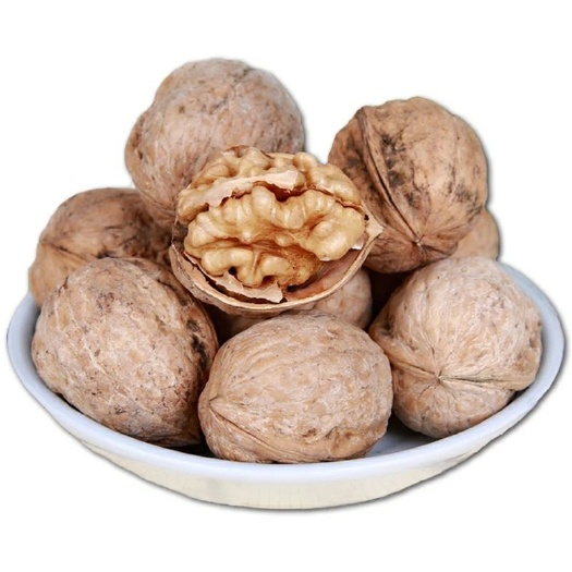 沧县新疆185纸皮核桃