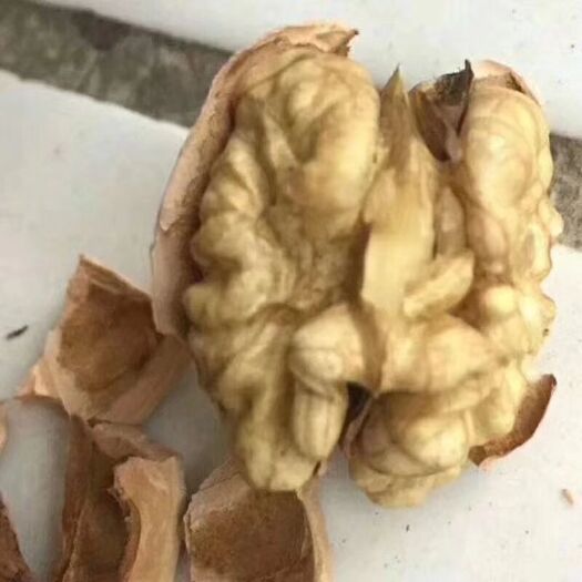 中阳县汾阳核桃