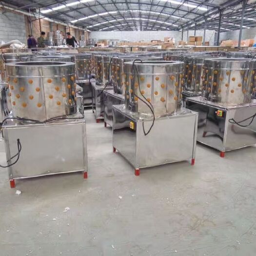  廠家直銷雞鴨鵝小鳥鴿子等脫毛機