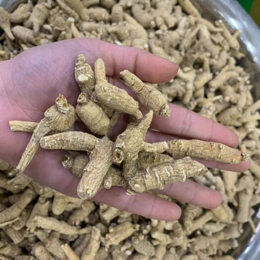 广州种植参  袋装 西洋参5g丛
