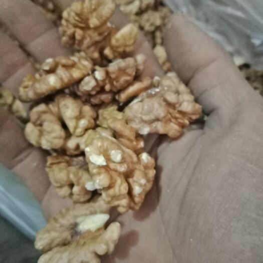 涉县核桃仁 6-12个月