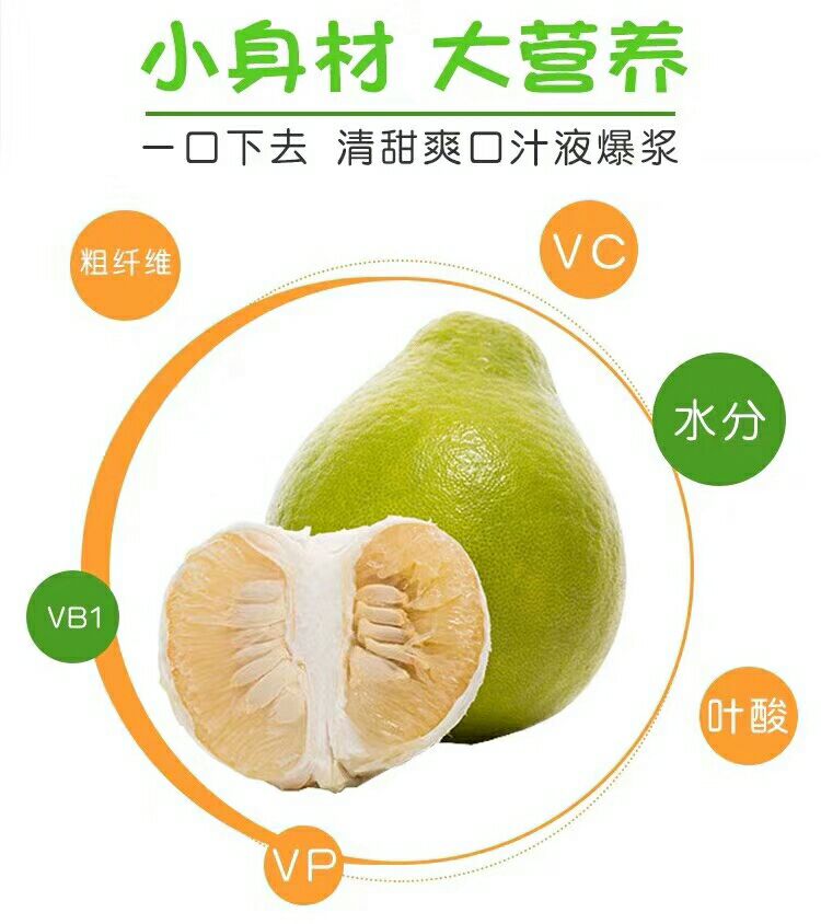 沙田柚 1.5斤以上 