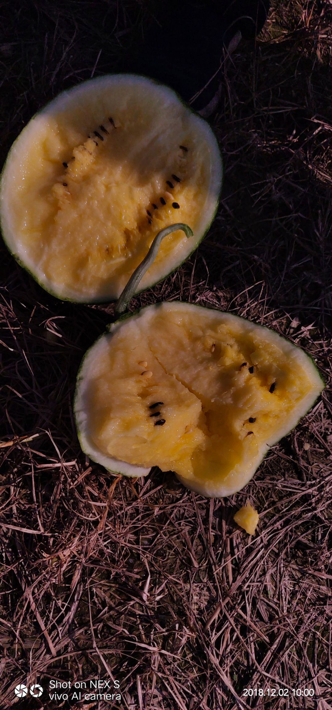 官方代办特小凤西瓜  直发大棚西瓜基地特小凤