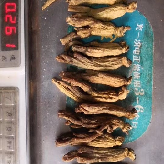 红参 原皮高丽参