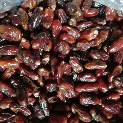 沧县椰枣 特级 