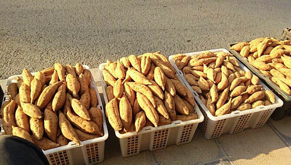 紫云红心红薯 3两~6两 黄皮 