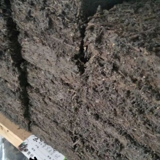 贺州高山黑茶 散装 一级