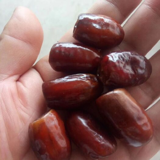 沧县椰枣 特级