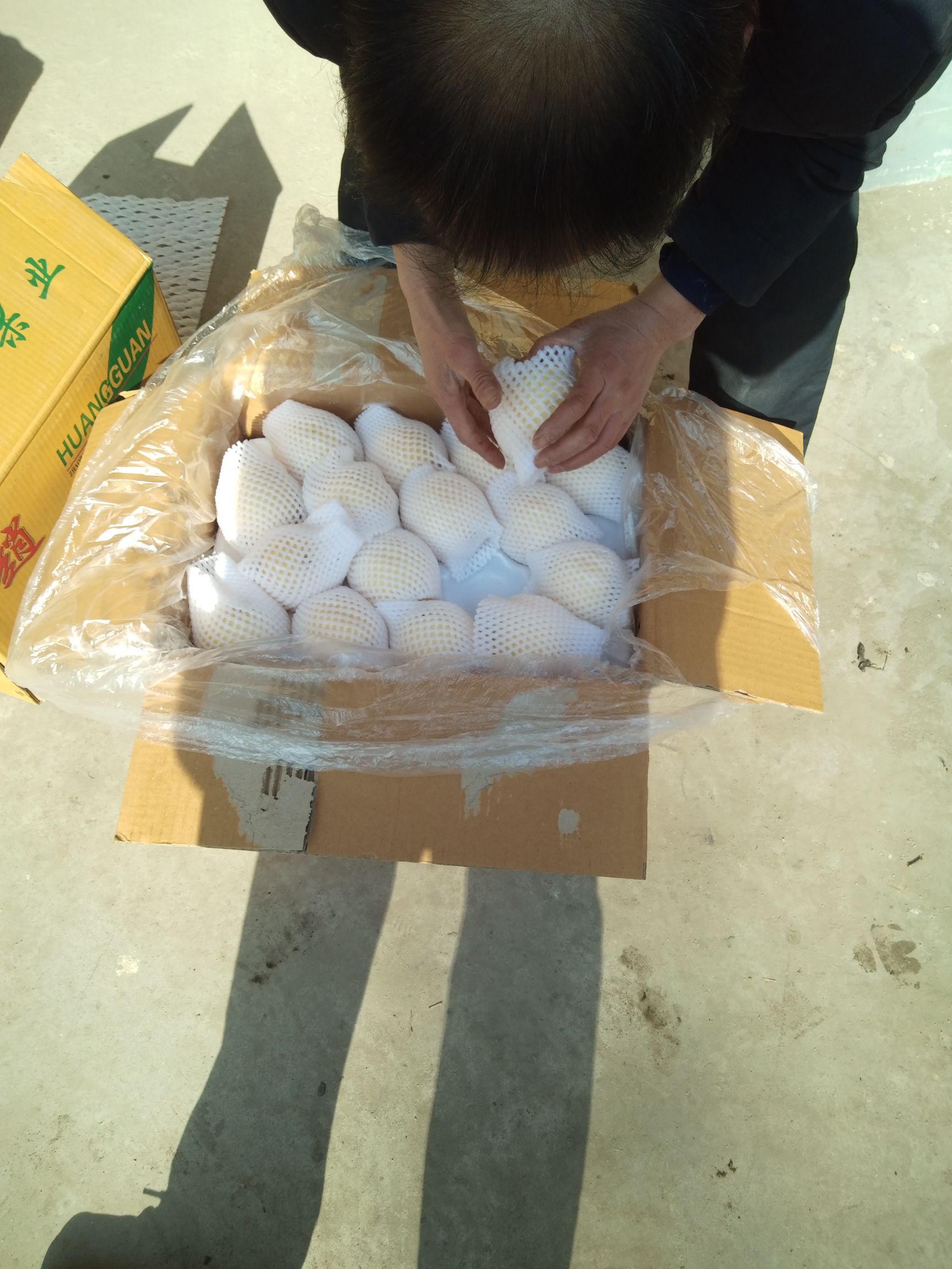 皇冠梨 70mm以上 250-300g