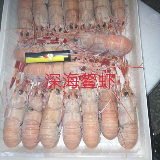 北海冻品海鱼
