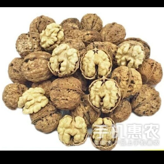 漾濞县云南漾濞核桃 山白皮精品