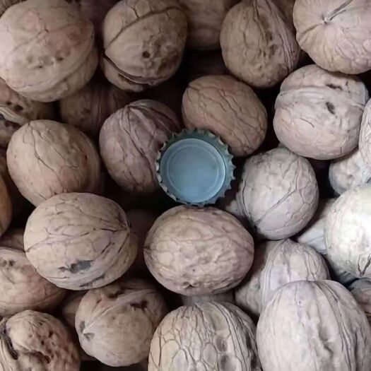 合阳县香玲核桃