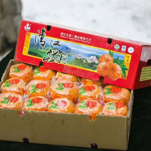 长阳县 正宗湖北清江椪柑 产地直发 可批发零售