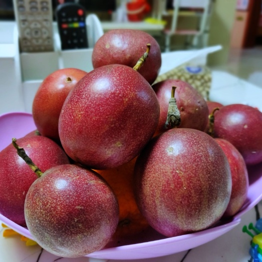 翁源县紫色百香果 当年新苗打果，新鲜。十一月将大量上市，欢迎量大的预约订货