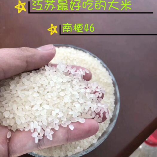 苏州南梗46号大米 一等品 晚稻 粳米
