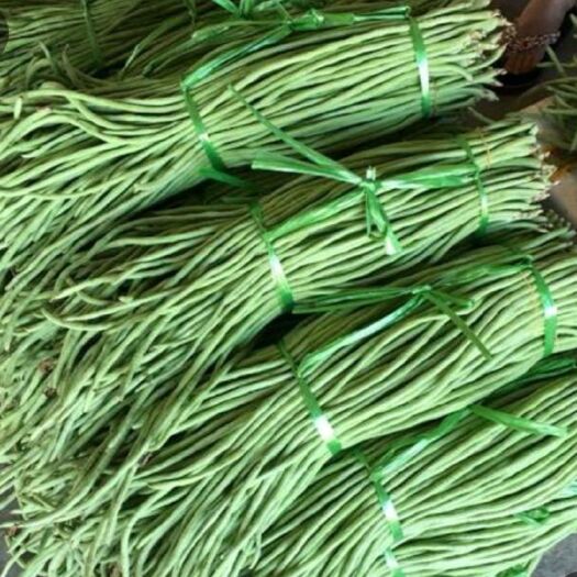 绿翡翠长豆角 40cm以下