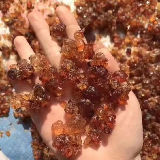 西宁食用桃胶 6-12个月 