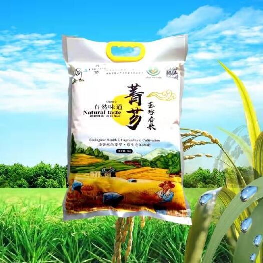 武冈市大米 