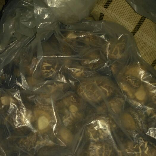随县剪柄香菇 散装 1年 