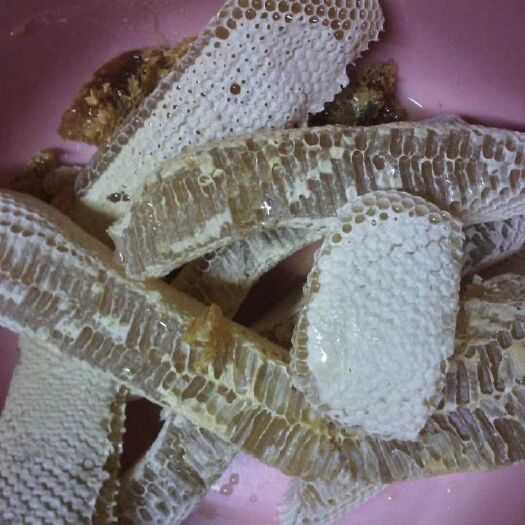 钦州土蜂蜜 塑料瓶装 2年以上 