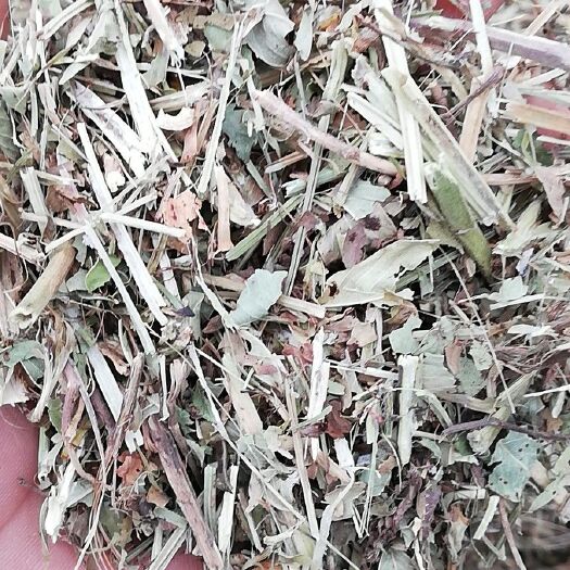 正阳县花生秧 花生秧草料 牛羊草料