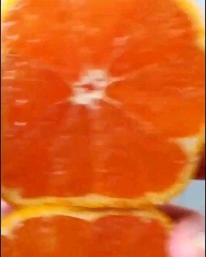宜昌蜜桔  特早熟蜜橘又名八月橘，薄皮化渣渣渣蜜橘产地直供大量上