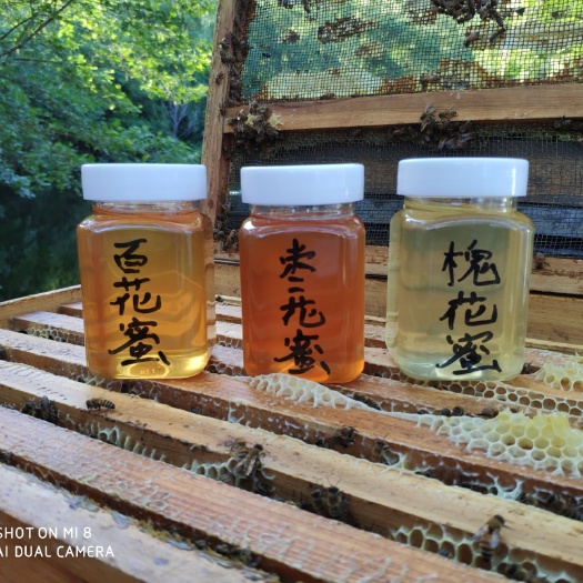 曲阜市枣花蜜 塑料瓶装 2年 
