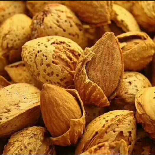 乌鲁木齐巴旦木 半年 带壳