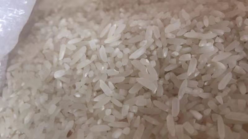 昆明贵潮米 一等品 晚稻 籼米 桂朝米 一等品 晚稻 籼米