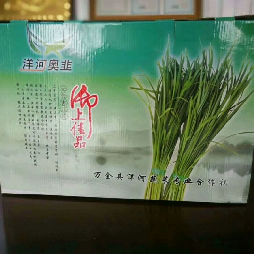张家口大叶韭菜 二茬 55~60cm 
