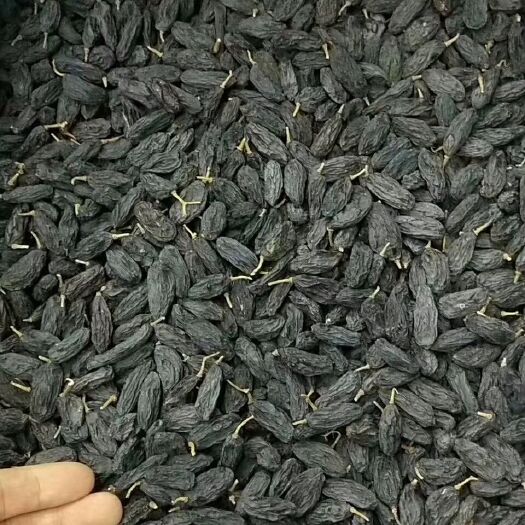 丰县绿香妃葡萄干 优等 