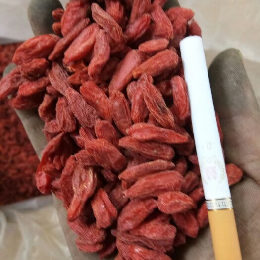 广州靖远枸杞 一级