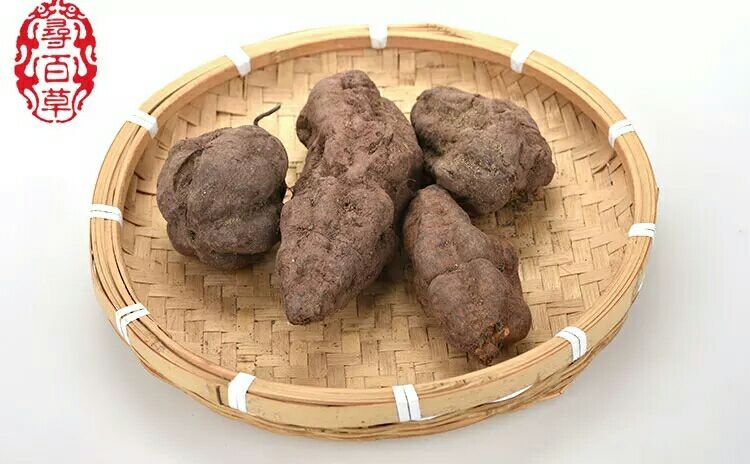 略阳县首乌  陕西首乌