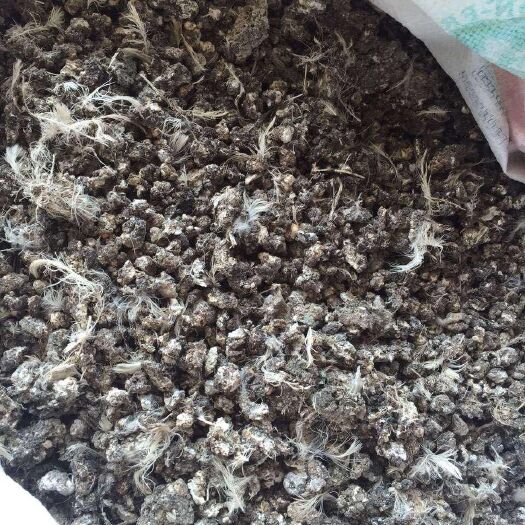 赣州鸡粪 鹌鹑粪便 干湿都有