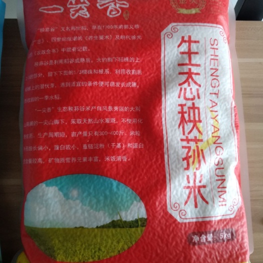 武穴市贡米 一等品 再生稻 粳米