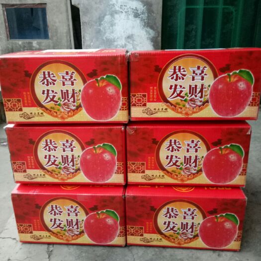 临猗县红富士苹果 膜袋 片红 电商果